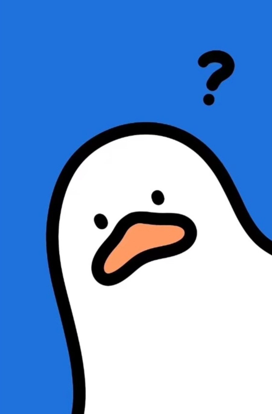 user profile