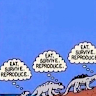 user profile